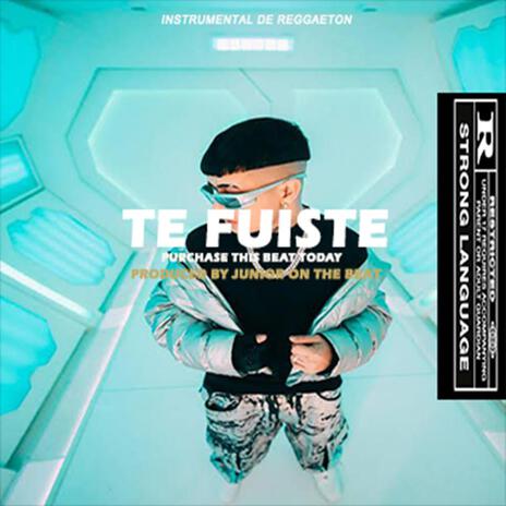 TE FUISTE | Boomplay Music