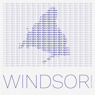 Windsor