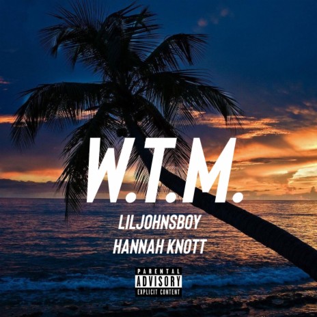 W.T.M. ft. Hannah Knott | Boomplay Music
