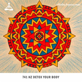 741 Hz Detox Your Body