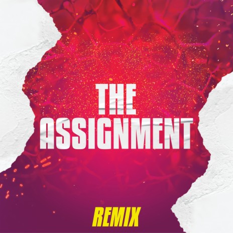 The Assignment (Remix) | Boomplay Music