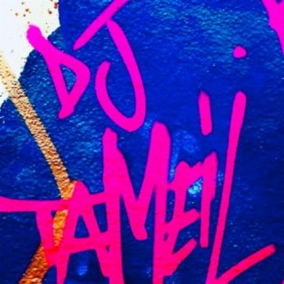 DJ TaMeiL