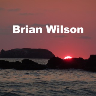 brian wilson