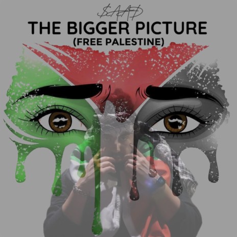 The Bigger Picture Free Palestine | Boomplay Music