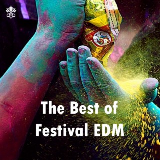The Best of Festival EDM