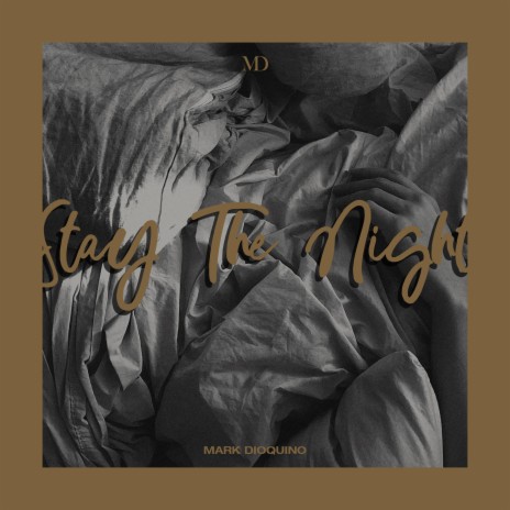 Stay The Night | Boomplay Music