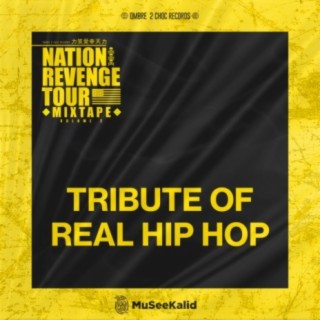Tribute Of Real Hip Hop (Mixtape)