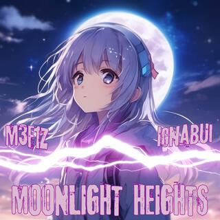 Moonlit Heights