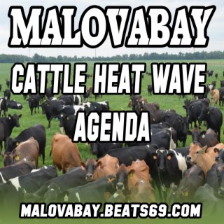 Cattle Heat Wave Agenda
