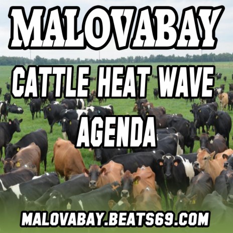Cattle Heat Wave Agenda | Boomplay Music