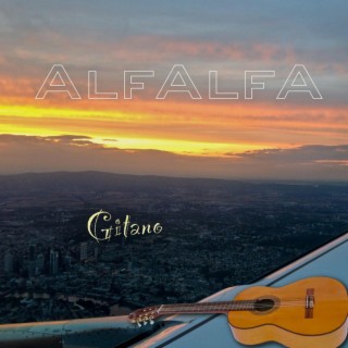 Gitano (Alfalfa Flamenco)