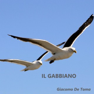 Il Gabbiano