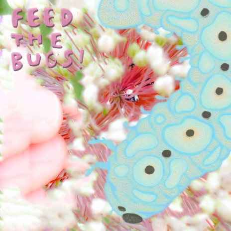 Feed the Bugs! | Boomplay Music