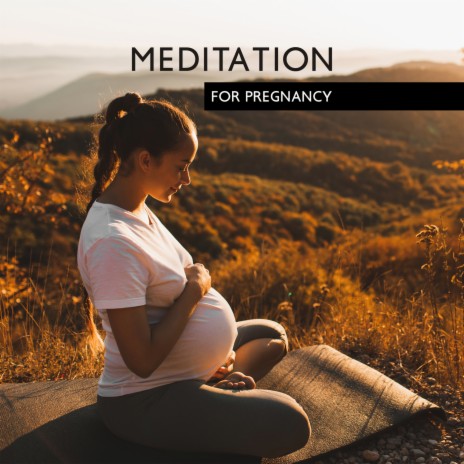 Pregnancy Hypnosis | Boomplay Music