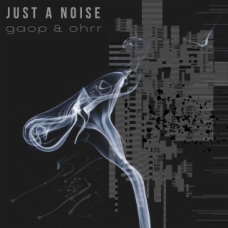Just a Noise