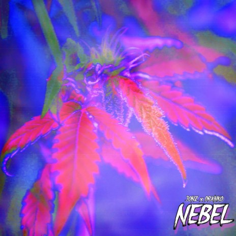 NEBEL ft. drxnko | Boomplay Music