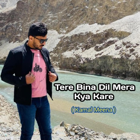 Tere Bina Dil Mera Kya Kare | Boomplay Music