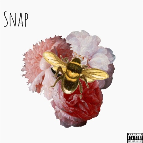 Snap | Boomplay Music