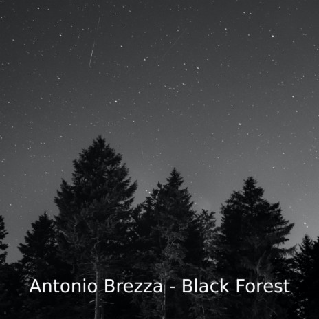 Black Forest | Boomplay Music