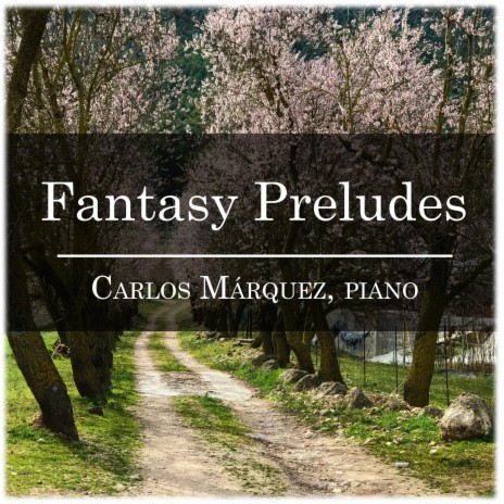 Fantasy Prelude #13