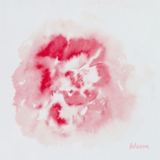 bloom