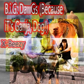 B.i.G. DawGs (Because iT's Ganja, Dog!)