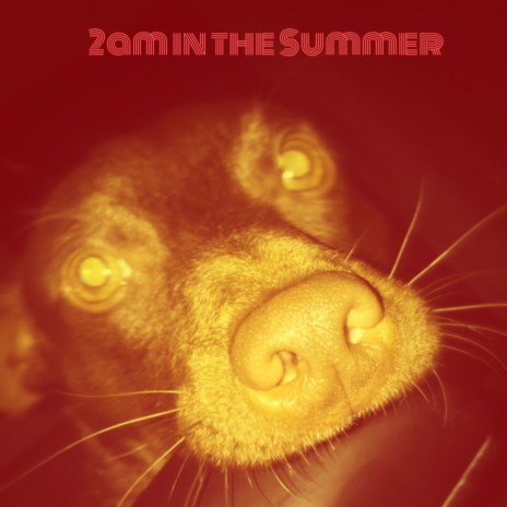 2am in the Summer | Boomplay Music