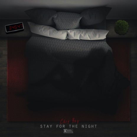 Stay for the Night | Boomplay Music