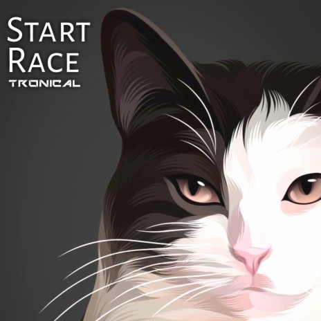 Start Race | Boomplay Music