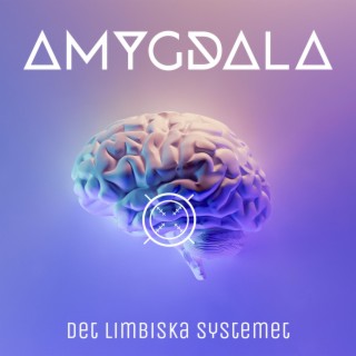 Kämpar ft. Anton Kvarnström lyrics | Boomplay Music