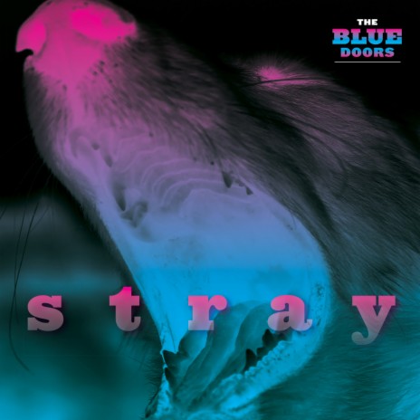 Stray | Boomplay Music