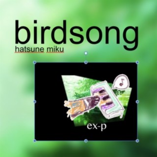 birdsong (feat. Hatsune Miku)