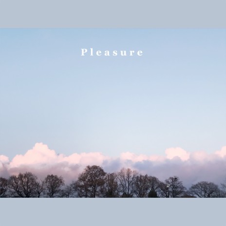 Pleasure | Boomplay Music