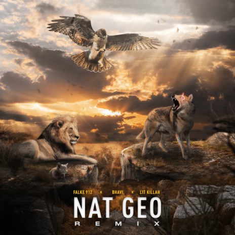 Nat Geo (Remix) ft. Bhavi & Lit Killah