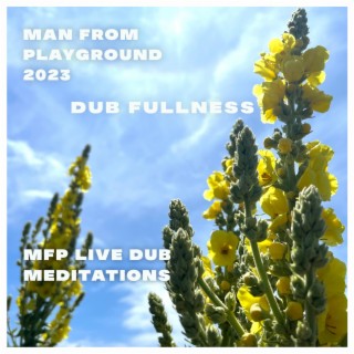 DUB Fullness