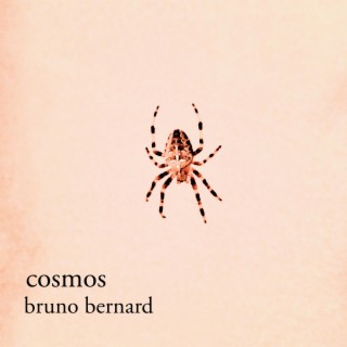 cosmos