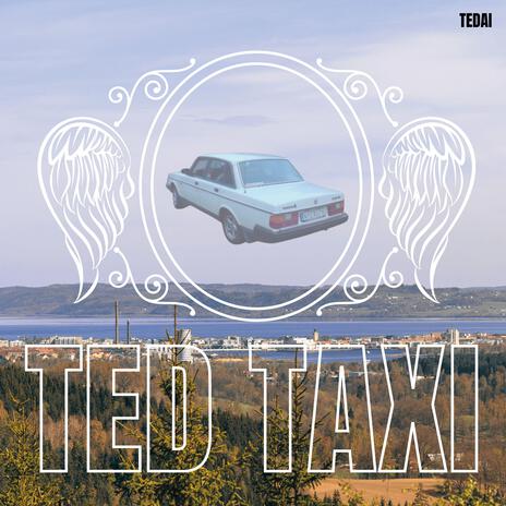 Ted taxi