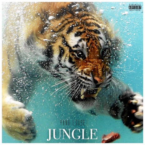 Jungle | Boomplay Music