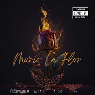 Murio La Flor