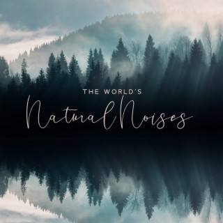 The World’s Naural Noises