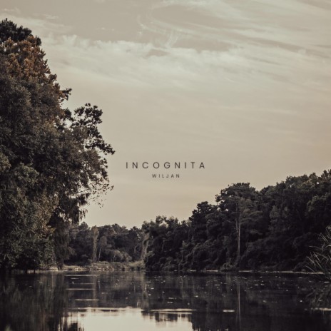 Incognita | Boomplay Music