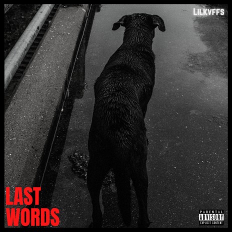 Last Words | Boomplay Music