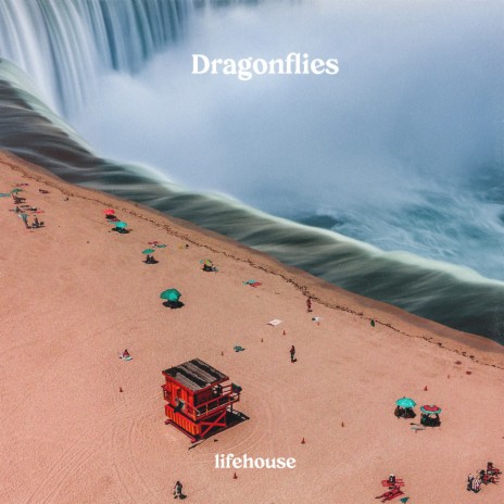 Dragonflies