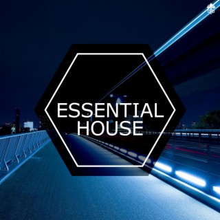 Essential House