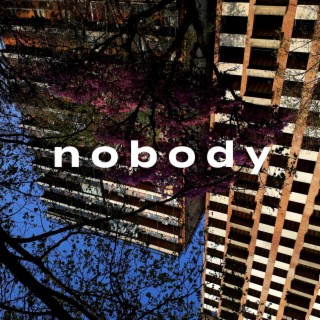 Nobody