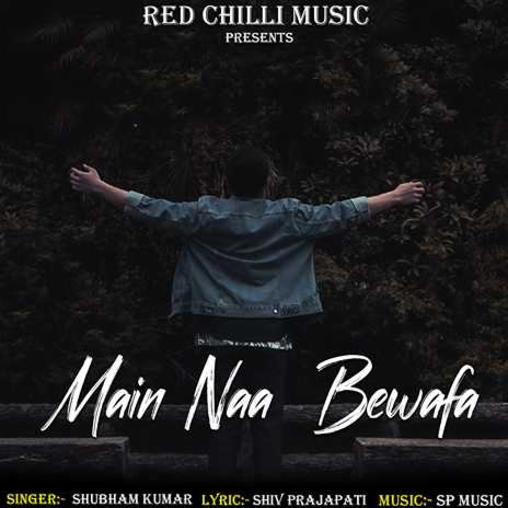 Main Naa Bewafa | Boomplay Music