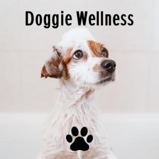 Doggie Wellness: Relaxing Background Music for Beauty Salon for Animals