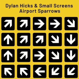 Airport Sparrows