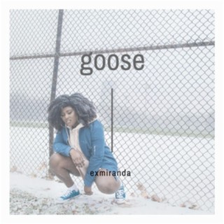 Goose