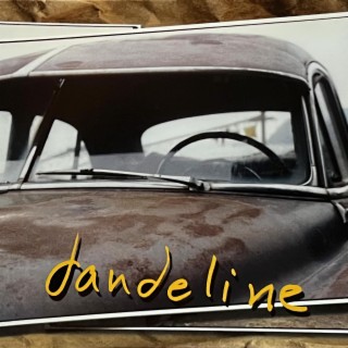 dandeline